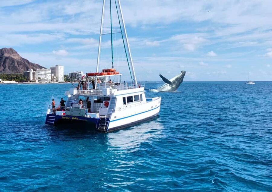 Oahu: Waikiki Whale Watching Cruise - Boarding a Double-Decker Catamaran With Real Whale-Watching Setup