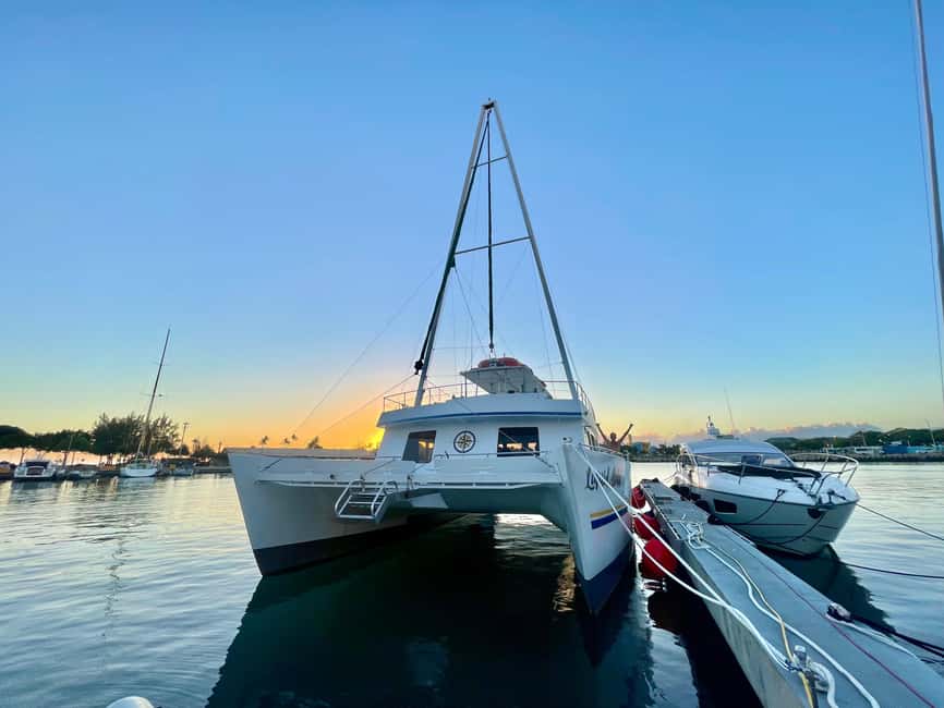 Oahu: Waikiki Whale Watching Cruise - Cruise Flow Around Waikiki: The 2-Hour Rhythm You’ll Actually Feel