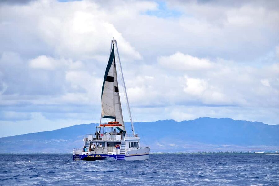 Oahu: Waikiki Whale Watching Cruise - Getting to 1025 Ala Moana Blvd, and Why 30 Minutes Early Changes Everything