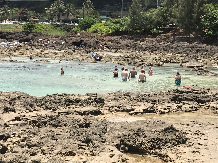 Oahu: Waimea Falls & valley & North Shore day - Key things I’d do first before you go