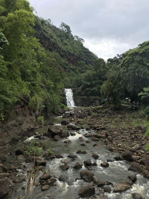 Oahu: Waimea Falls & valley & North Shore day - Price and what you really get for $150 per person