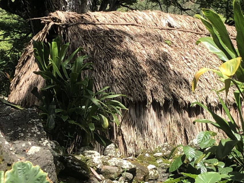Oahu: Waimea Falls & valley & North Shore day - Swimming at the 110-foot pool: what is included, what is optional, and what you must pay