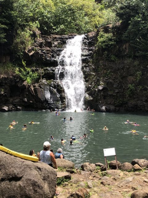 Oahu: Waimea Falls & valley & North Shore day - Afternoon turtle searching and beach hopping on the North Shore