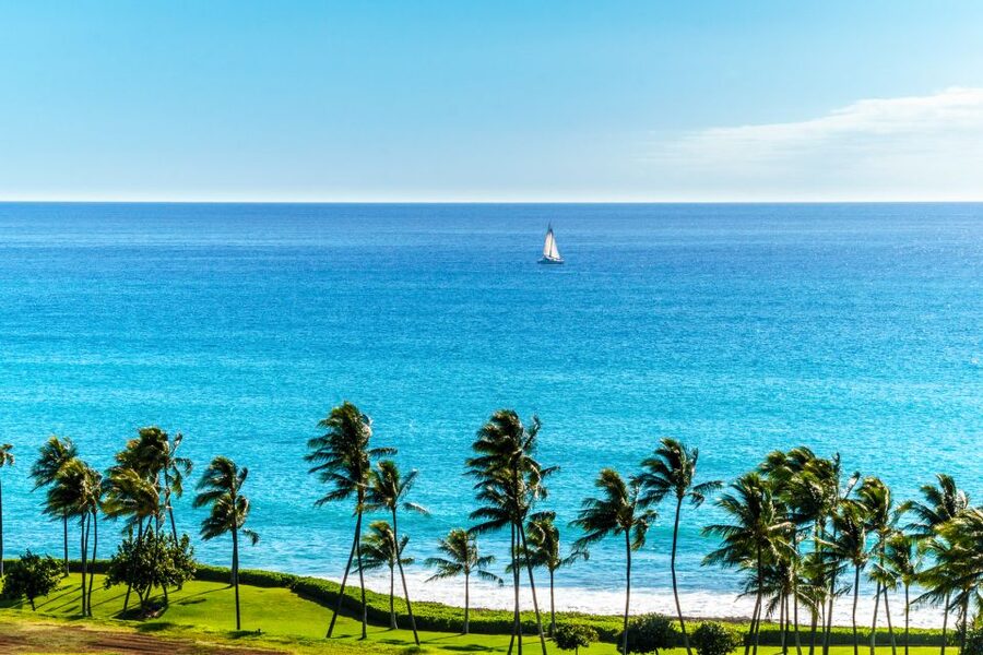 Oahu: West Oahu Sunset Cruise with Cocktails and Appetizers - Should You Book This Waianae Sunset Cruise?