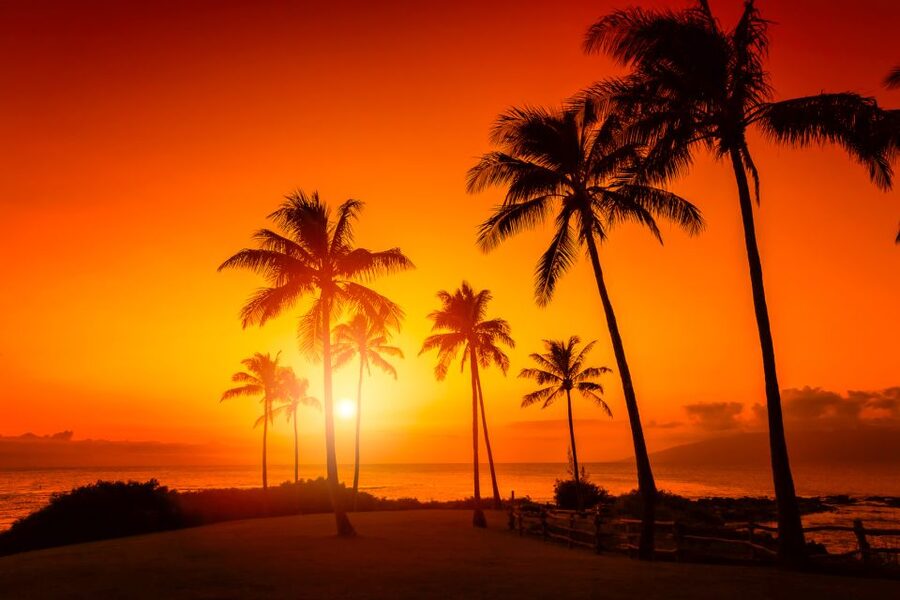 Oahu: West Oahu Sunset Cruise with Cocktails and Appetizers - What You Get on the Catamaran: Open-Air Breezes and Shaded Comfort