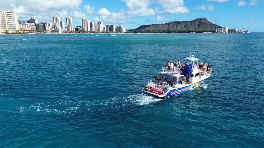 Oahu: Whale Watching Cruise Whales Guaranteed - The double-decker power boat: better sightlines and a bar for the ride