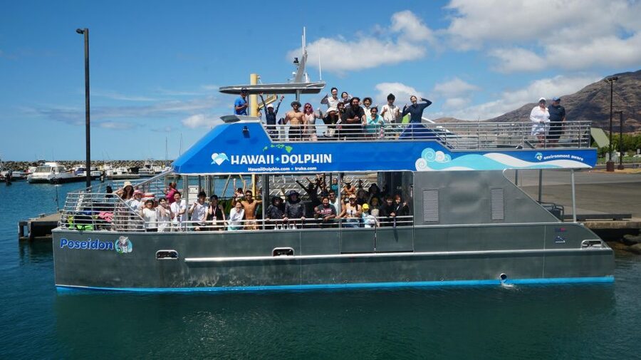 Oahu: Wild Dolphins Swim Turtle Snorkel Tour & Waterslide - Price and value: what $199 buys you on this kind of day