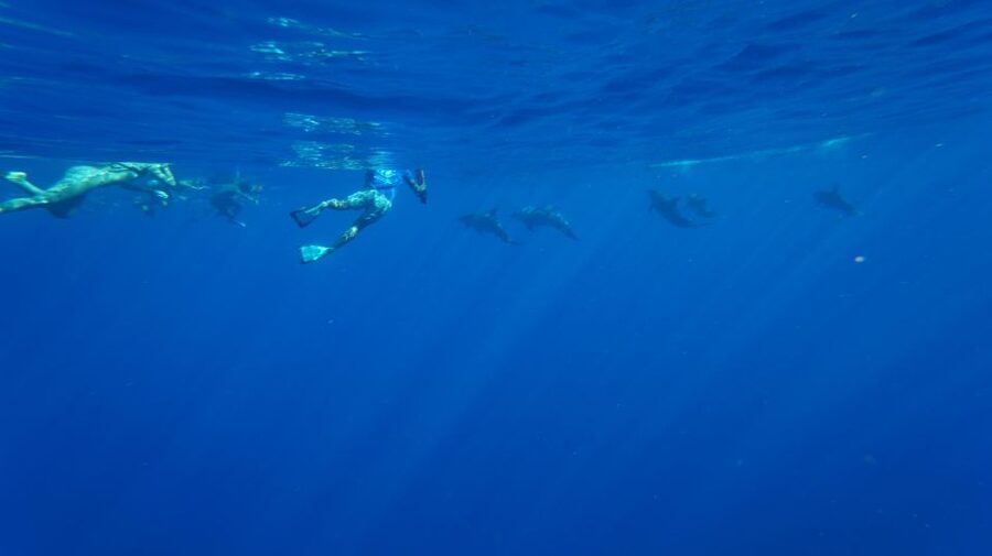 Oahu: Wild Dolphins Swim Turtle Snorkel Tour & Waterslide - Sailing the Waianae coast and hearing the Oli prayer of the sea