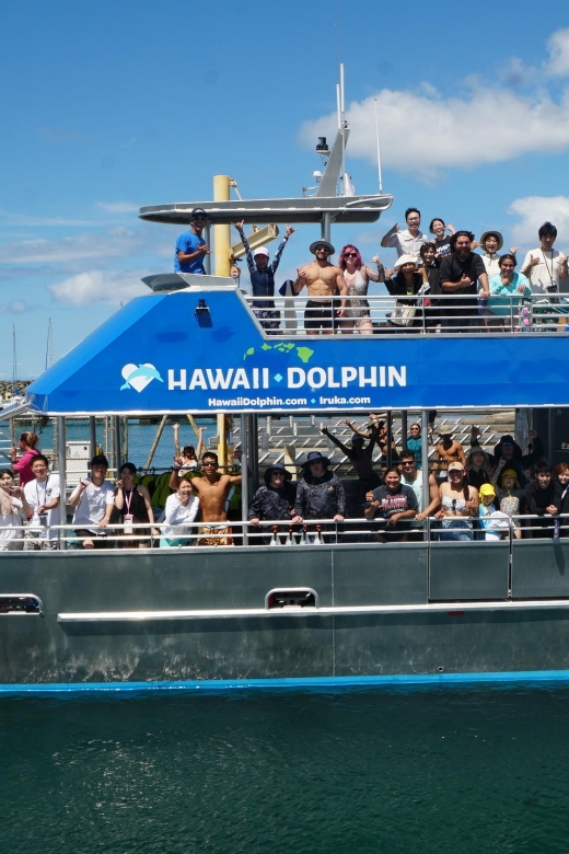 Oahu: Wild Dolphins Swim Turtle Snorkel Tour & Waterslide - On-board comfort that helps you enjoy the day longer