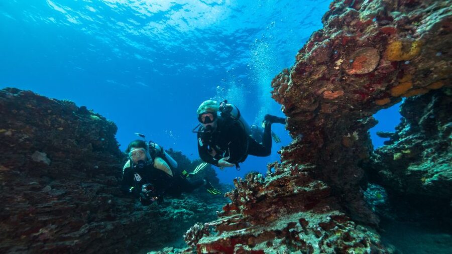 Oahu: Wreck & Reef Scuba Dive for Certified Divers - Key Highlights You’ll Care About