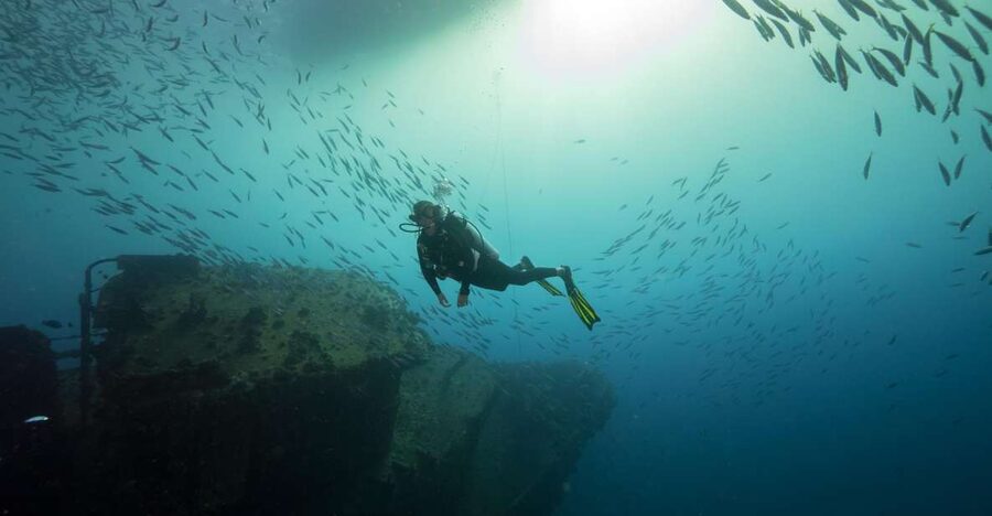Oahu: Wreck & Reef Scuba Dive for Certified Divers - Three Hours on Oahu Water: How the Boat Day Feels