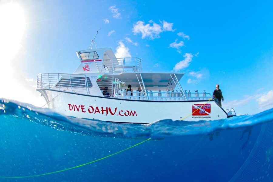 Oahu: Wreck & Reef Scuba Dive for Certified Divers - Sea Tiger Wreck: Sharks and Sea Turtles in a Deep-Minded Setting