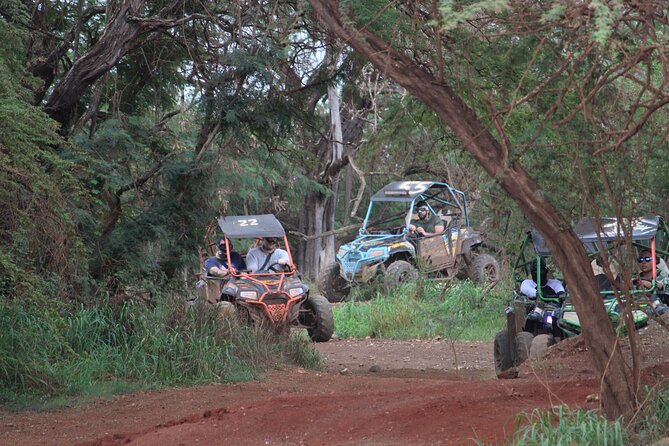 Off-Road ATV & 3 Zipline Combo (Optional Waikiki Shuttle) - Safety and rules that matter: weight, age, shoes, and driver license