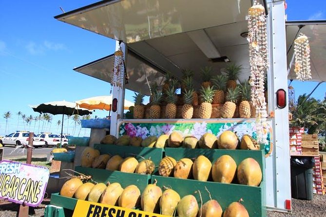 One-Day Tour Hawaii Movie Tour: Island Hopping from Oahu to Kauai - Should you book this Hawaii movie tour?
