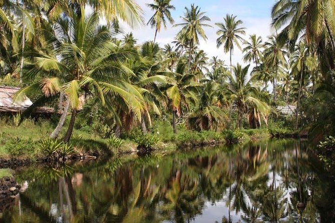 One-Day Tour Hawaii Movie Tour: Island Hopping from Oahu to Kauai - Why the small-group format feels better than a cattle call