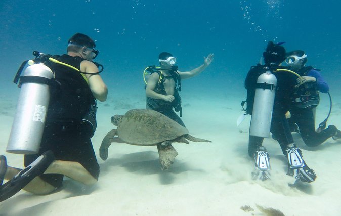 Open Water Scuba Certification - Meeting Point and Your Early Start