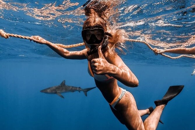 Open Water Shark Dive - Wildlife to watch for: sharks first, plus other marine life