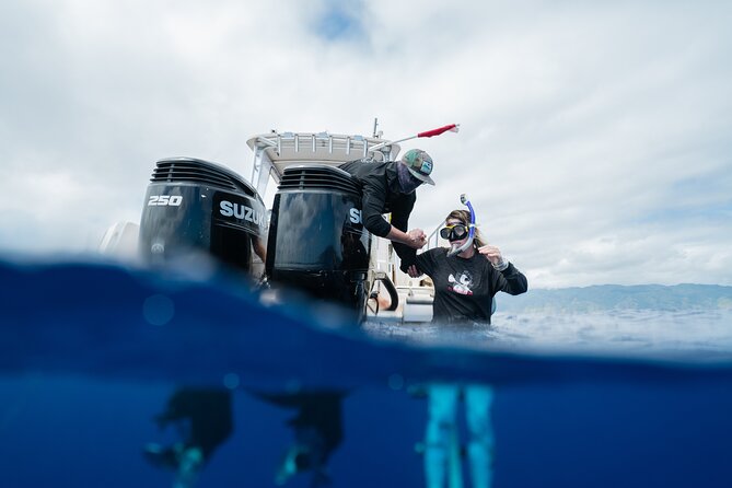 Open Water Shark Dive - Comfort and limitations: swimming ability and sea conditions matter