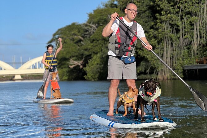 Paddle Board North Shore with Rescue Dogs - One Hour on the Haleiwa River: Calm Water, Real Wildlife Vibes