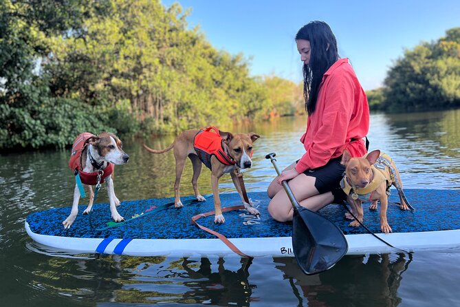 Paddle Board North Shore with Rescue Dogs - The Beach Wrap-Up: Shower, Stories, Group Photo