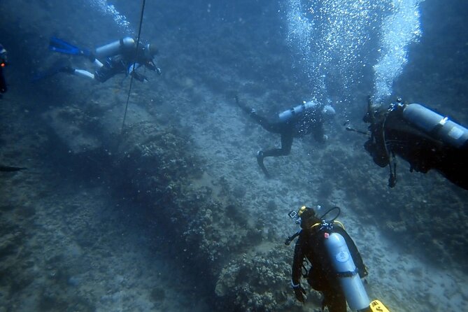 PADI Open Water Certification Course Shared Experience - What You Are Actually Buying for $85