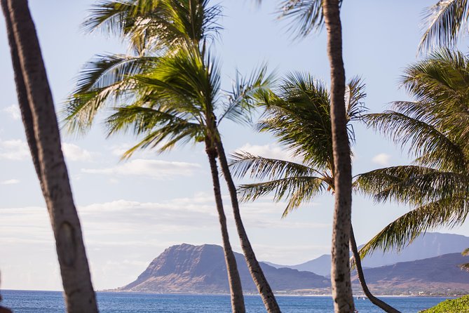 Paradise Cove Luau - Before Dinner: Hawaiian Games, Crafts, and the Shower of Flowers