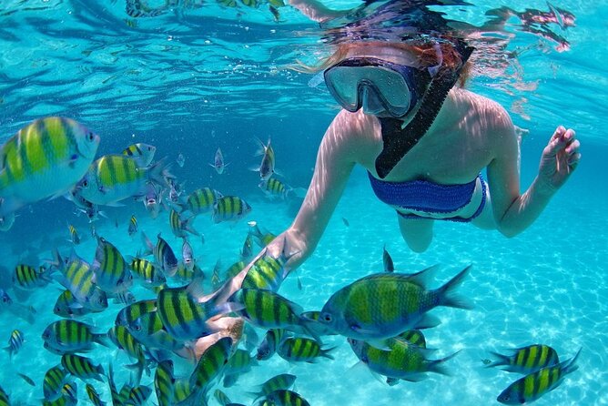 Paradise Waikiki Sunset Cruise + LIVE DJ + SWIMMING - Swimming and Snorkel Gear, When It’s Allowed