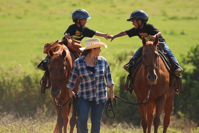 Pony Rides For Kids - Key things to know before you go
