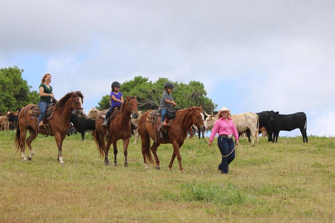 Pony Rides For Kids - Helmet on, calm ponies, patient wranglers