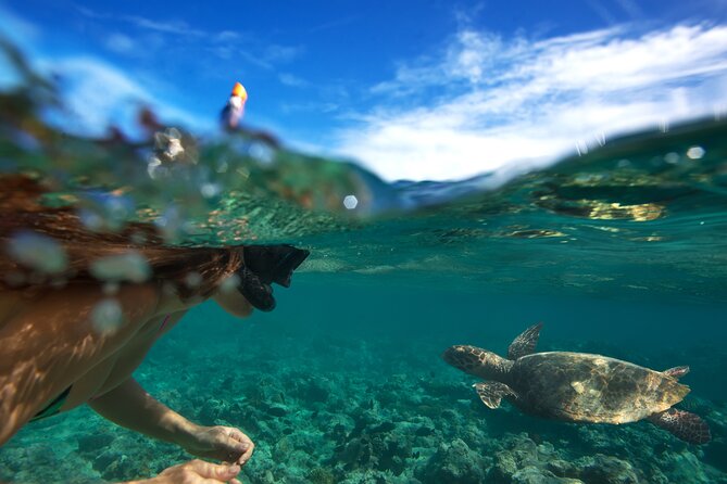 Premium Oahu Circle Island Tour – Small Group, No Crowds - Makapu’u Point, Waimea Bay, and Sunset Beach from the road