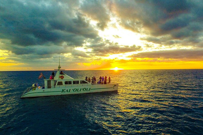 Premium Snorkel Sunset Cruise with Whale and Dolphin Watch - Key things that make this cruise worth your time