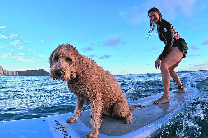 Private 1-on-1 Surf Lesson with Videos and Photos - Price and value: is $160 for one hour a good deal?