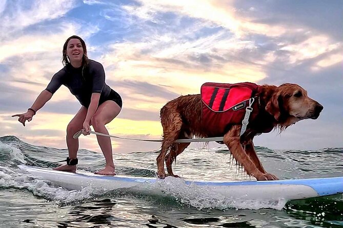 Private 1-on-1 Surf Lesson with Videos and Photos - Who should book this private surf lesson
