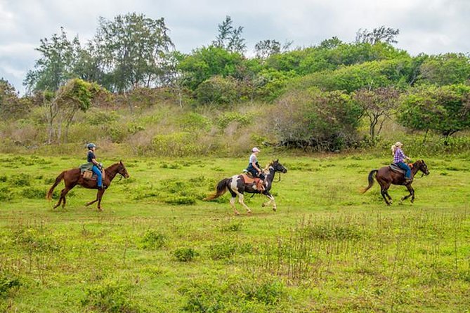 Private Advanced Trail Ride - Key highlights you should know before you go