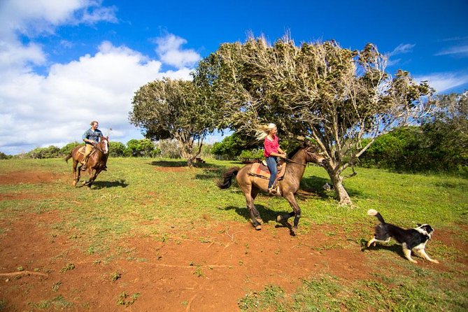 Private Advanced Trail Ride - Private Advanced Trail Ride on Oahu, What It Actually Feels Like