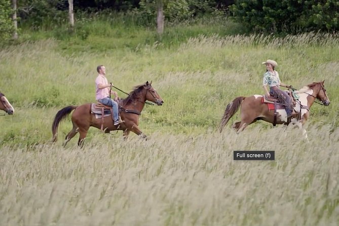 Private Advanced Trail Ride - Gunstock Ranch in Kahuku: Timing, Check-In Energy, and the Setting