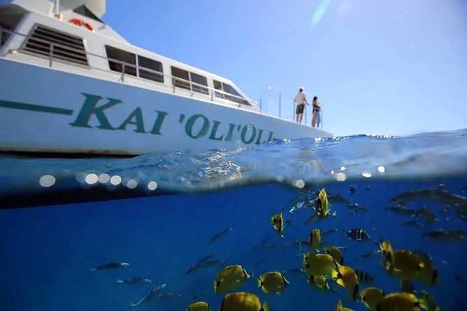 Private and Luxurious Sunset Cruise with Whale & Dolphin Watch - Key Highlights You’ll Actually Feel on the Water