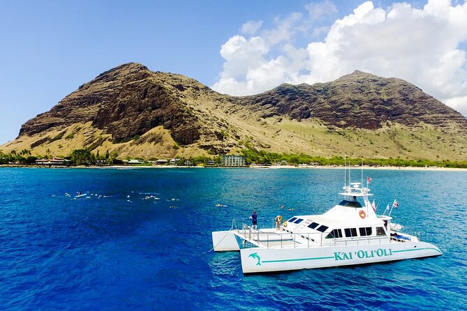 Private and Luxurious Sunset Cruise with Whale & Dolphin Watch - Wildlife Time: Dolphins Are the Main Event, and You Might Get More