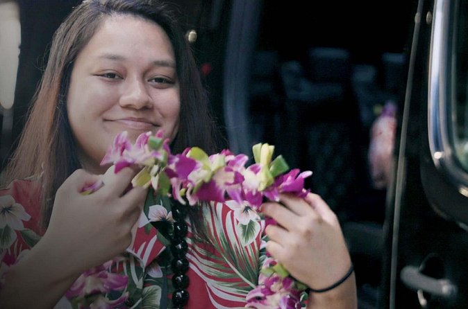 Private Arrival Transfer: Honolulu International Airport to Oahu Hotels or Cruise Terminal - Who This Transfer Fits Best on Oahu