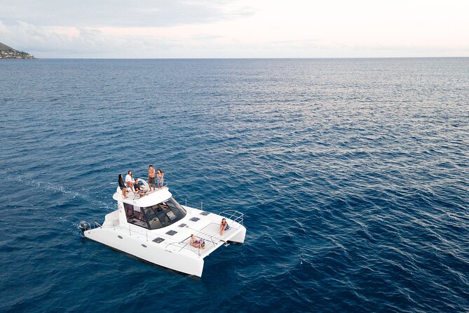Private Catamaran Cruise and Snorkeling Tour in Honolulu - Wildlife Spotting Stops, Turtles, Dolphins, and Whale Odds