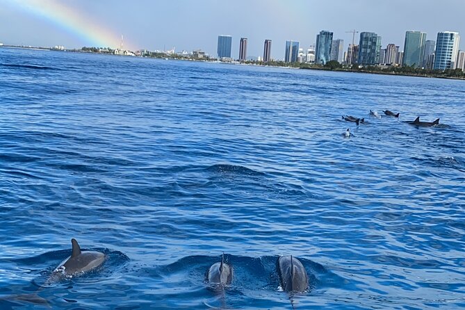 Private Catamaran Cruise and Snorkeling Tour in Honolulu - Comfort Details That Make a Private Boat Feel Worth It