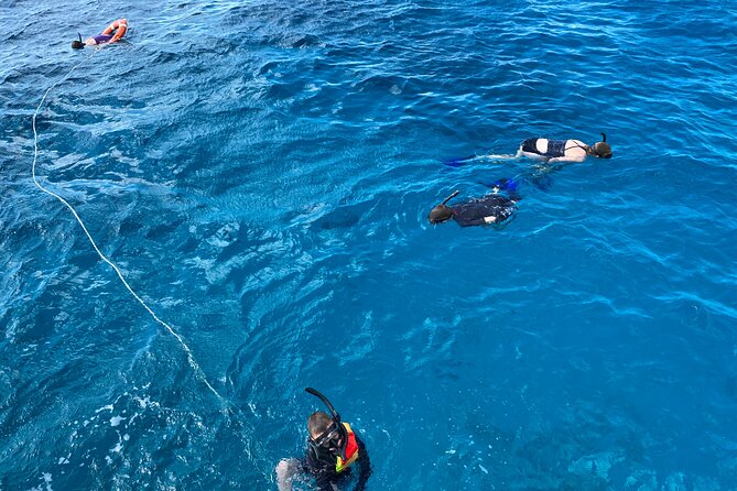 Private Catamaran Cruise and Snorkeling Tour in Honolulu - Price and Value: Is $749 for Up to Six a Good Deal?