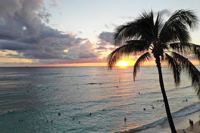 Private Circle Island Tour we build your dream Itinerary - North Shore day: Haleiwa, Kahuku, and the food-truck reality check