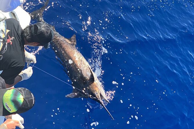Private Deep Sea Full-Day Fishing Charter in Hawaiian Waters - Targets and how the fishing day usually unfolds offshore