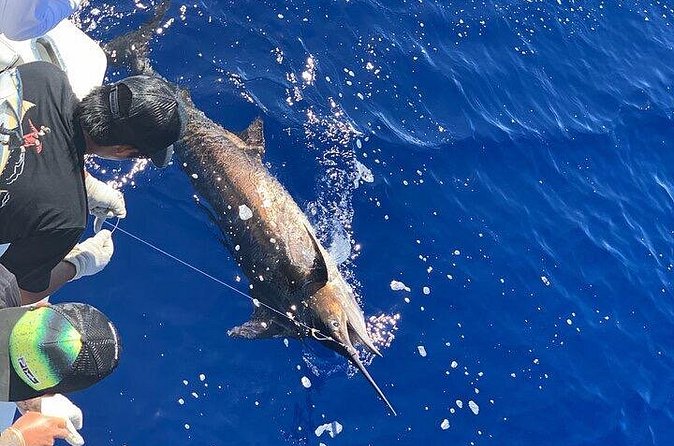 Private Deep Sea Full-Day Fishing Charter in Hawaiian Waters - Parking, taxes, and the real cost of a private day
