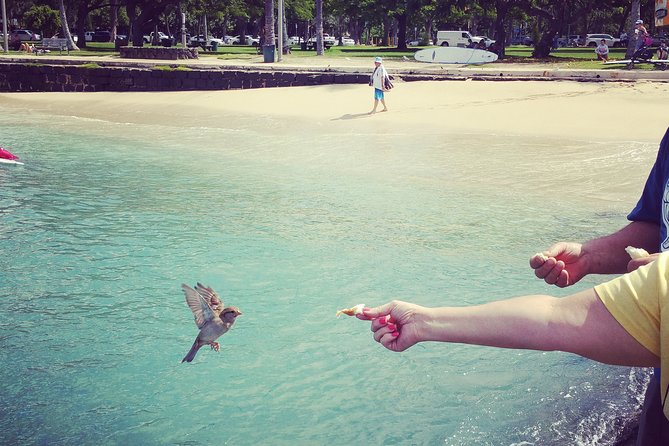 Private Dole,Garlic Shrimp,Haleiwa,North Shore Customizable tour - Price and value: $462.60 per group, up to 6