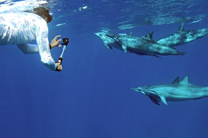 Private Dolphin Swim with Slide for up to 15 Passengers - A private 55-foot dolphin charter in Oahu that stays centered on your group