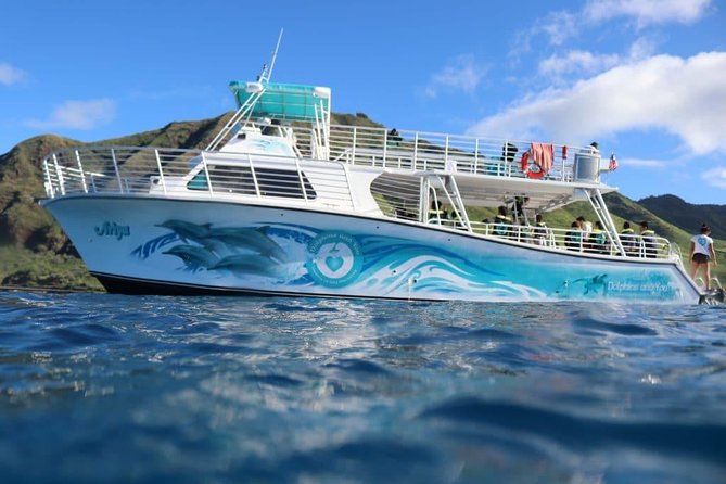Private Dolphin Swim with Slide for up to 15 Passengers - On the boat: two decks, wraparound bow seats, two bathrooms, and surround sound