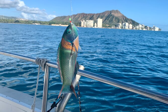 Private Fishing Charter for Family and Friends in Honolulu - A Private 2-Hour Reef Charter from Ala Moana and Kewalo Basin Harbor