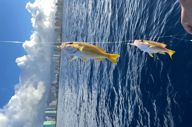 Private Fishing Charter for Family and Friends in Honolulu - Honolulu Views and Wildlife Chances From the Water
